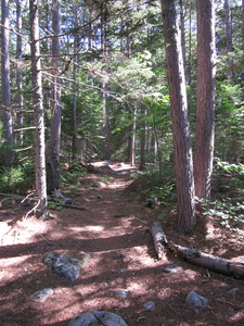 Appalachian Trail Appalachian Trail