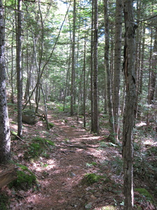 Appalachian Trail Appalachian Trail