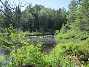 Appalachian Trail Appalachian Trail