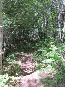 Appalachian Trail Appalachian Trail