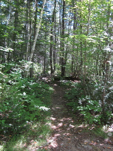 Appalachian Trail Appalachian Trail
