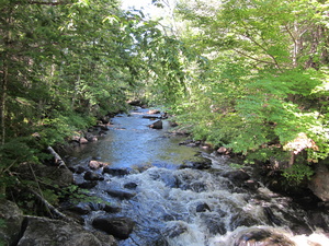 Appalachian Trail Appalachian Trail