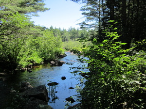 Appalachian Trail Appalachian Trail