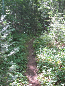 Appalachian Trail Appalachian Trail