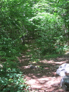 Appalachian Trail Appalachian Trail