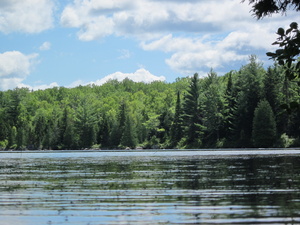 Appalachian Trail Bugs Appalachian Trail Bugs