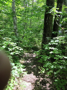 Appalachian Trail Appalachian Trail