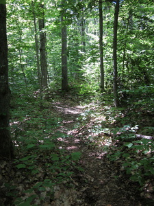 Appalachian Trail Appalachian Trail