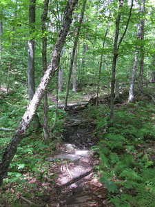 Appalachian Trail Appalachian Trail