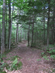 Appalachian Trail Appalachian Trail
