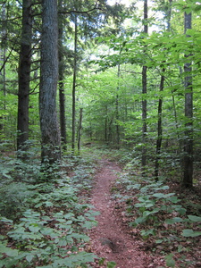 Appalachian Trail Appalachian Trail