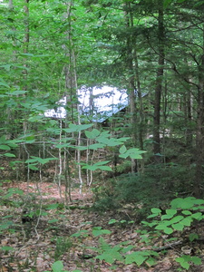 Appalachian Trail Potaywadjo Lean-to Appalachian Trail Potaywadjo Lean-to