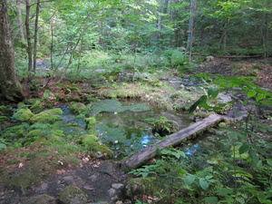 Appalachian Trail Appalachian Trail