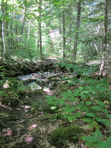 Appalachian Trail Appalachian Trail