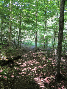 Appalachian Trail Appalachian Trail