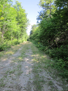 Appalachian Trail Appalachian Trail