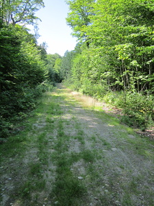 Appalachian Trail Appalachian Trail