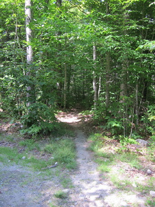Appalachian Trail Appalachian Trail