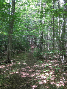 Appalachian Trail Appalachian Trail