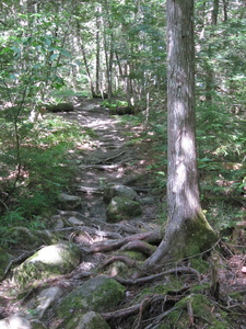 Appalachian Trail Appalachian Trail