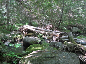 Appalachian Trail Appalachian Trail