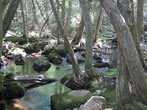 Appalachian Trail Appalachian Trail