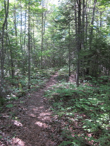 Appalachian Trail Appalachian Trail