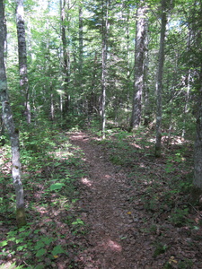 Appalachian Trail Appalachian Trail