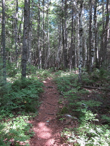 Appalachian Trail Appalachian Trail