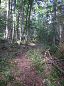Appalachian Trail Appalachian Trail