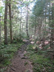 Appalachian Trail Appalachian Trail