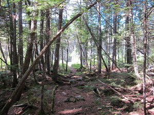 Appalachian Trail Z Appalachian Trail Z