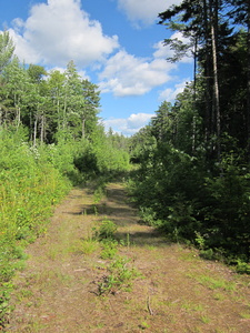 Appalachian Trail Appalachian Trail