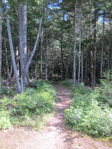 Appalachian Trail Appalachian Trail