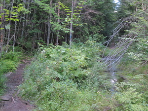 Appalachian Trail Appalachian Trail