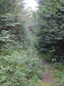 Appalachian Trail Appalachian Trail