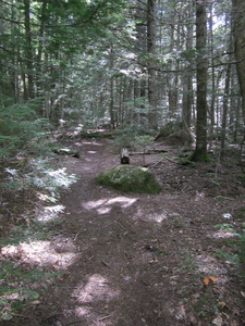 Appalachian Trail Appalachian Trail