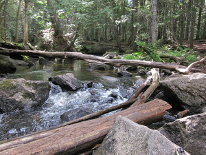 Appalachian Trail Appalachian Trail