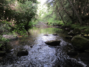 Appalachian Trail Appalachian Trail
