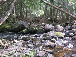 Appalachian Trail Appalachian Trail