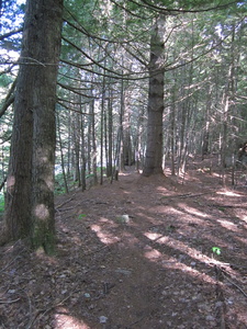 Appalachian Trail Appalachian Trail