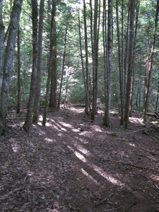 Appalachian Trail Appalachian Trail