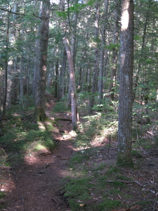 Appalachian Trail Appalachian Trail