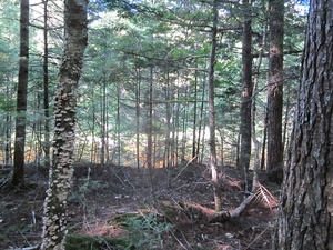 Appalachian Trail Appalachian Trail