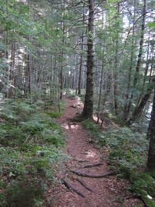 Appalachian Trail Appalachian Trail