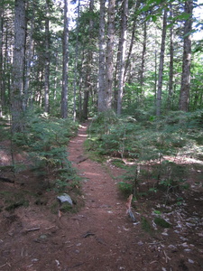 Appalachian Trail Appalachian Trail