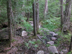 Appalachian Trail Appalachian Trail