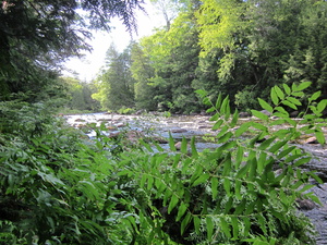 Appalachian Trail Appalachian Trail