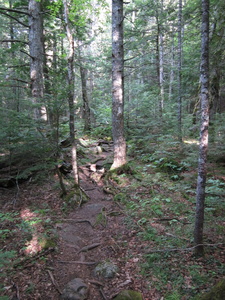 Appalachian Trail Appalachian Trail