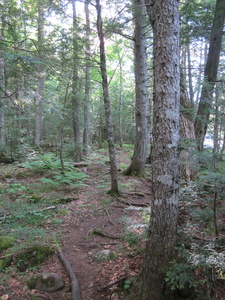 Appalachian Trail Appalachian Trail